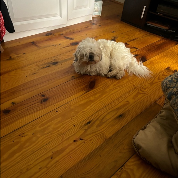 SinClair’s Collection- We sale candles, make soap with all natural ingredients. - Picture 2 of 13